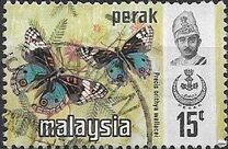 [Butterflies, type AV]