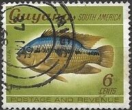 [selvaggina, Scrivi BG]