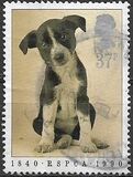 [The 150th Anniversary of the Royal Society for Prevention of Cruelty to Animals, type AHQ]