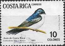 [Birds, type AEU]