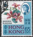 [Local Motives, type BN]