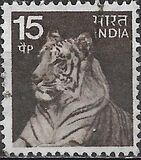 [Motivi locali, Scrivi PG]