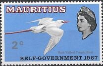 [Beginning of Self-government - Birds, type DQ]