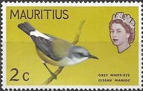 [Birds - New Colors, tip EL]