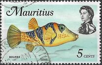 [Marine Life, タイプ FA]
