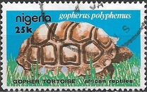 [African Reptiles, tegund OU]