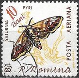 [Butterflies & Moths, type BTG]
