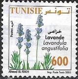 [Medicinal Plants, tip ASK]