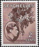 [Local Motives - Double Coconut Palm, 類型 U]