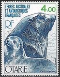 [Antarctic Fauna, type DI1]