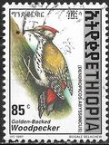 [Golden-mantled Woodpecker, type AXO16]