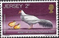 [Jersey Wildlife Preservation Trust, type J]