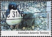 [Antarctic Wildlife, tip CL]