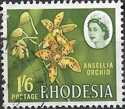 [Local Motives, type AD]