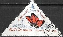 [Butterflies & Moths, Tipi BTI]