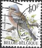 [Birds, type BNI]