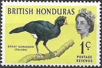 [Birds, type BS]