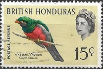 [Birds, type BY]