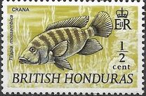[Wildlife - Fish, տեսակ DT1]