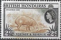 [Country Images, type BC]