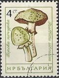 [Mushrooms, type ANQ]