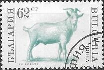 [Domestic Animals, type EKI]