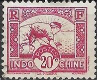 [Rice Sowing, loại AG6]