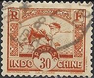 [Rice Sowing, loại AG11]