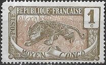 [Leopard - Panthera pardus, type A]