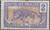 [Leopard - Panthera pardus, type A1]