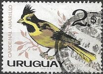 [Airmail - Birds, Tip OY]