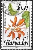 [Wild Plants, Tipi WB]