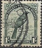 [Second Pictorials, Tip CA]