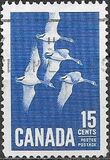 [Canada Geese, տեսակ JI]