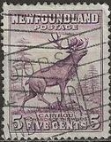 [Newfoundland Issue, type DS]