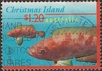 [Fish, type OZX]