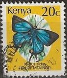 [Butterflies, type OY]