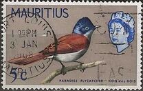 [Birds & Elizabeth II, Scrivi CY]