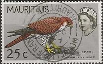 [Birds & Elizabeth II, Scrivi DC]