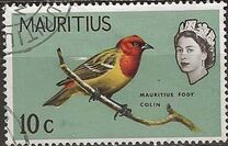[Birds & Elizabeth II, Scrivi CZ]