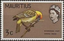 [Birds & Elizabeth II, Scrivi CW]