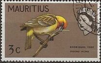[Birds & Elizabeth II, Scrivi CW]