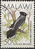 [Birds, type QD]