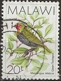 [Birds, type QA]