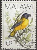 [Birds, type PY]