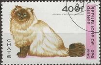 [Cats, tegund ASP]
