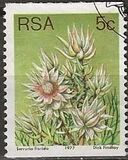 [Flora - Protea Plants - Coil Stamps, type PZ]