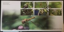 [Insects - Dragonflies, Scrivi WN]
