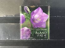 [Flowers - Peach-Leaved Bellflower, tip OJ]