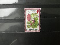 [Flowering Fruits, Tipi TV]